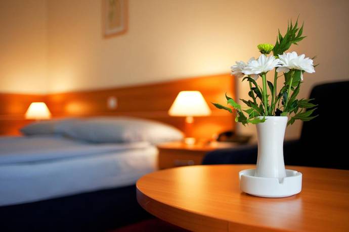 Imagen de la habitación del Hotel Creina. Foto 6