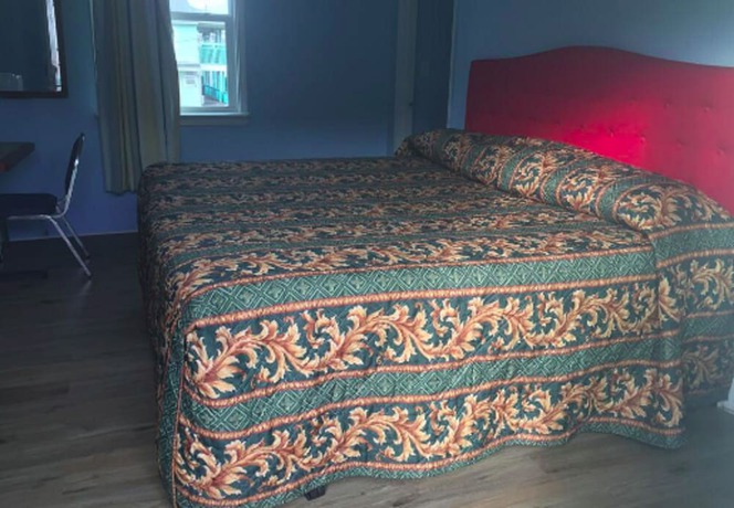 Imagen de la habitación del Hotel Crepe Myrtle by OYO. Foto 6