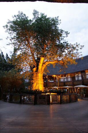 Imagen general del Hotel Cresta Mowana Safari Resort and Spa. Foto 5