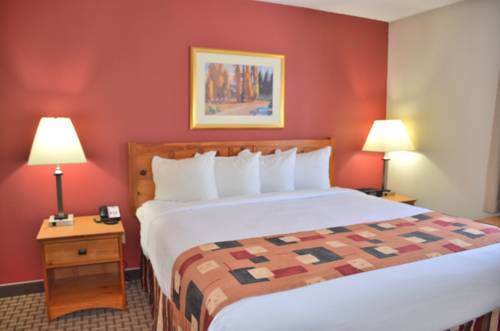 Imagen de la habitación del Hotel Cresthill Suites Syracuse. Foto 10