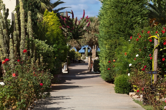 Imagen de los exteriores del Hotel Cretan Malia Park A Member Of Design Hotels. Foto 12