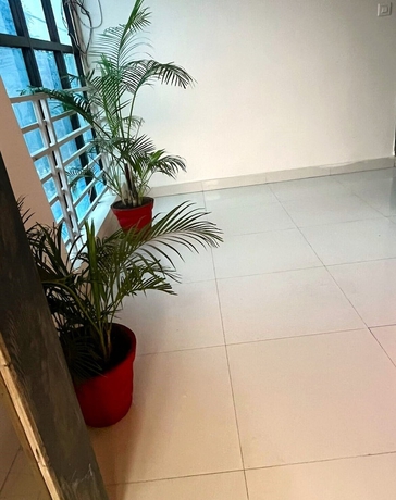 Imagen de los interiores del Hotel Crib Inn. Foto 14