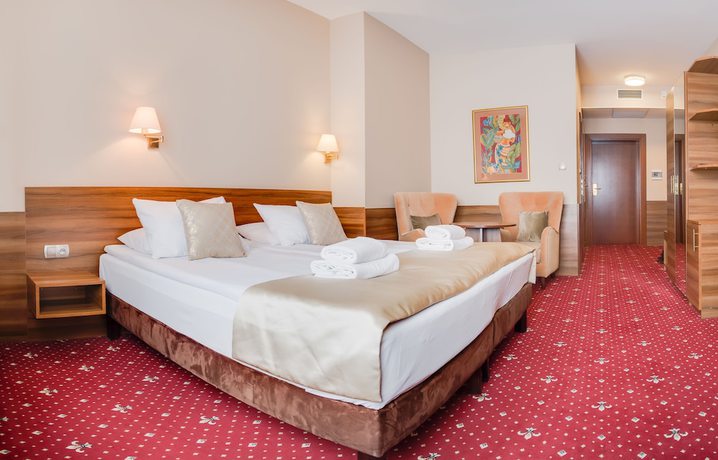 Imagen de la habitación del Hotel Cristal Park, Dabrowa Tarnowska. Foto 15