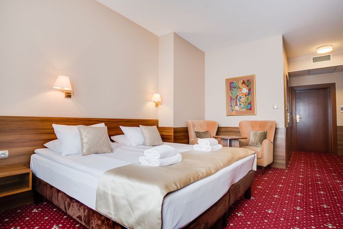 Imagen de la habitación del Hotel Cristal Park, Dabrowa Tarnowska. Foto 16