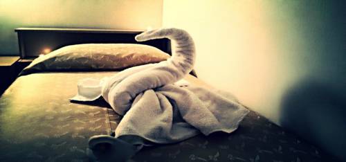 Imagen de la habitación del Hotel Cristallo, Chianciano Terme. Foto 10