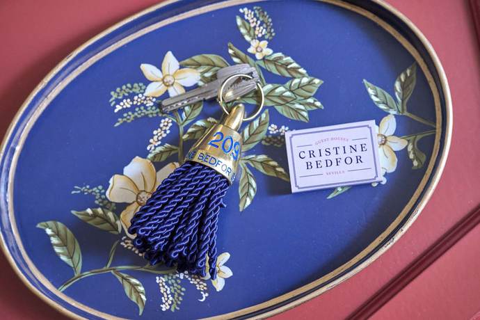 Imagen de los interiores del Hotel Cristine Bedfor Sevilla Boutique. Foto 15