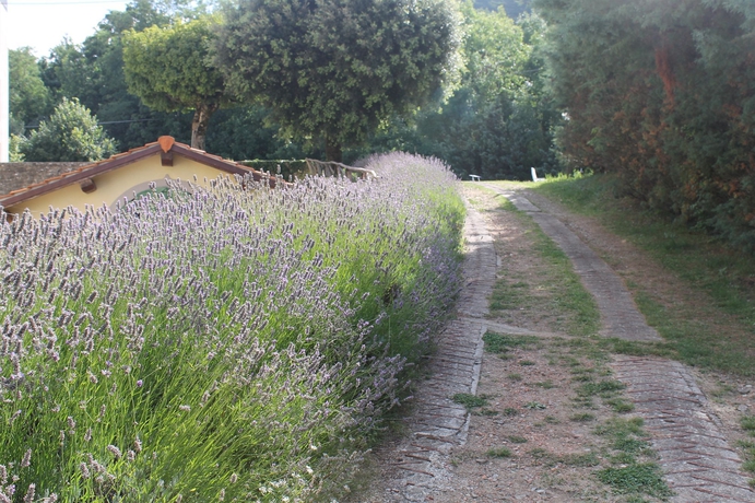 Imagen de los exteriores del Hotel Croce Di Savoia, Reggello. Foto 15