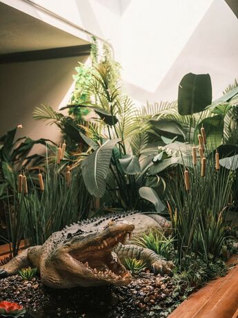Imagen general del Hotel Crocodile. Foto 3
