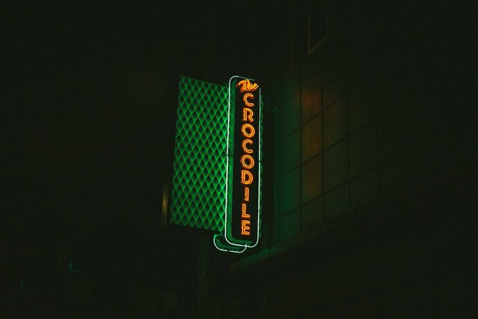 Imagen general del Hotel Crocodile. Foto 5