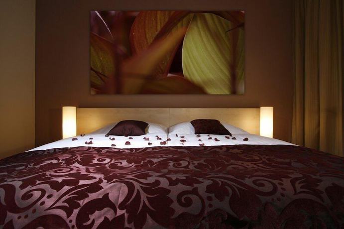 Imagen de la habitación del Hotel Crocus. Foto 5