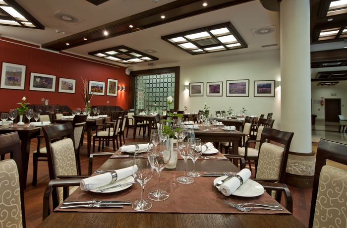 Imagen del bar/restaurante del Hotel Crocus. Foto 8