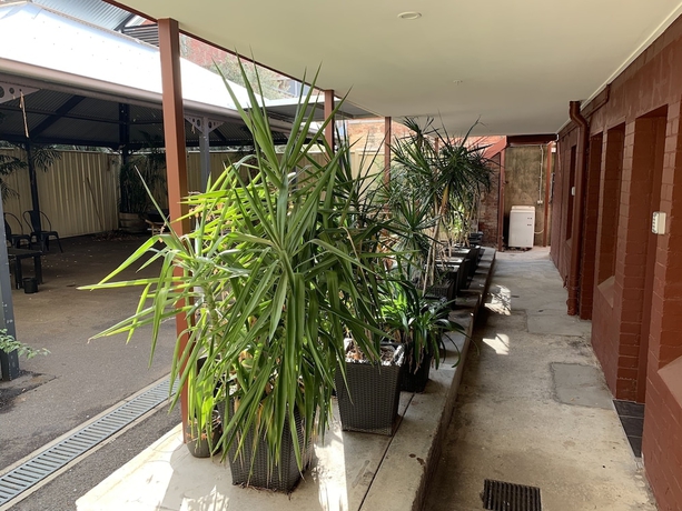 Imagen de la habitación del Hotel Crown Accommodation Bendigo Cbd. Foto 12