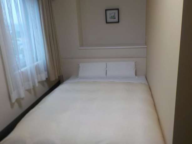 Imagen de la habitación del Hotel Crown Hills Katsuta. Foto 3