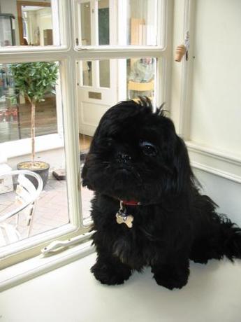 Imagen de los interiores del Hotel Crown, Nantwich. Foto 17