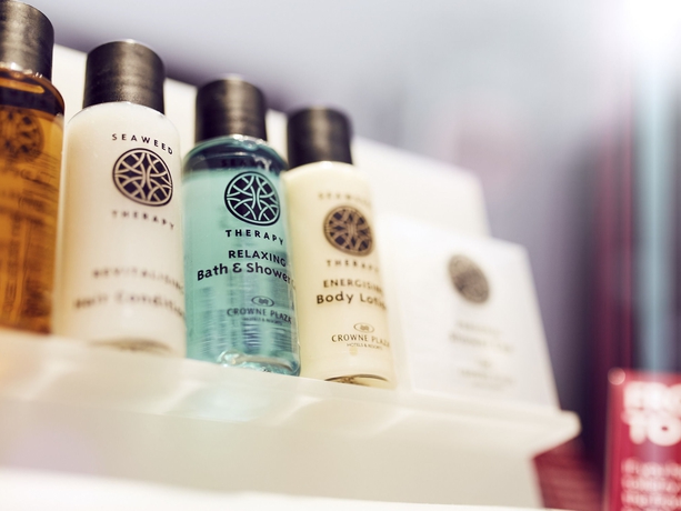 Imagen de la habitación del Hotel Crowne Plaza Amsterdam South, An Ihg. Foto 2