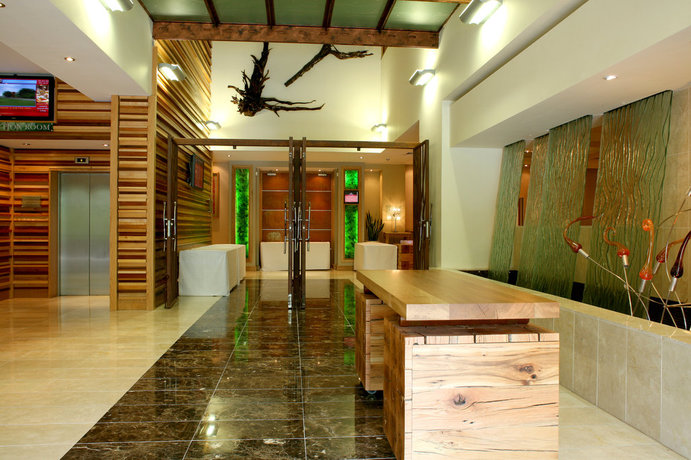 Imagen general del Hotel Crowne Plaza Dublin Airport, An Ihg. Foto 11