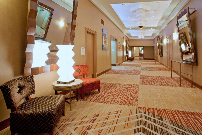 Imagen de los interiores del Hotel Crowne Plaza Houston Med Ctr-Galleria Area, an IHG. Foto 13