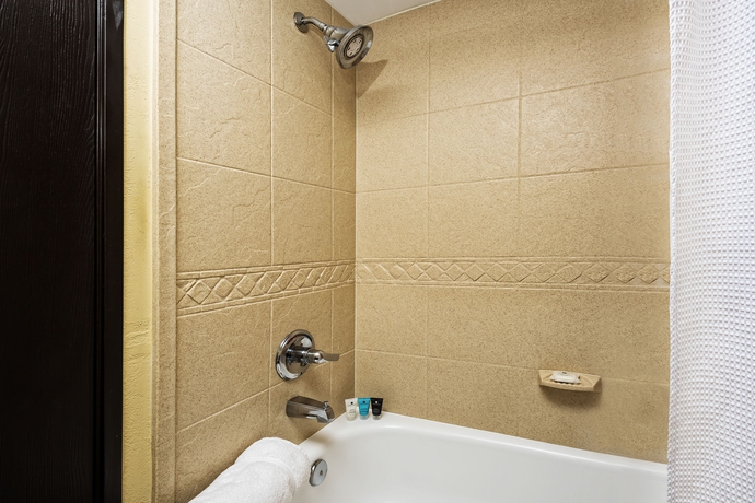 Imagen de la habitación del Hotel Crowne Plaza Houston Suites. Foto 5