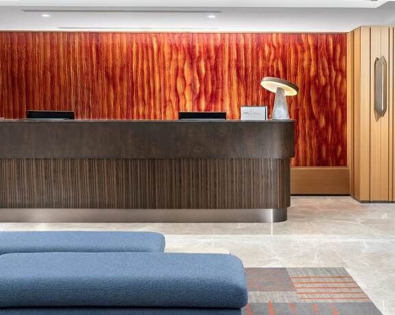 Imagen general del Hotel Crowne Plaza Istanbul Ortakoy Bosphorus, an IHG Hotel. Foto 10