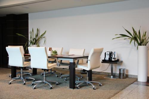 Imagen general del Hotel Crowne Plaza Madrid Airport, An Ihg. Foto 13