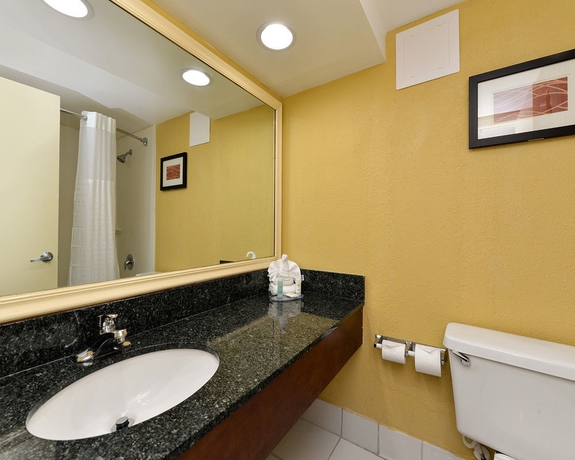 Imagen de la habitación del Hotel Crowne Plaza Orlando - Lake Buena Vista , An Ihg. Foto 6