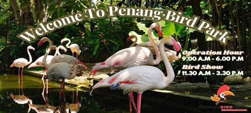 Imagen general del Hotel Crowne Plaza Penang Straits City, An Ihg. Foto 3