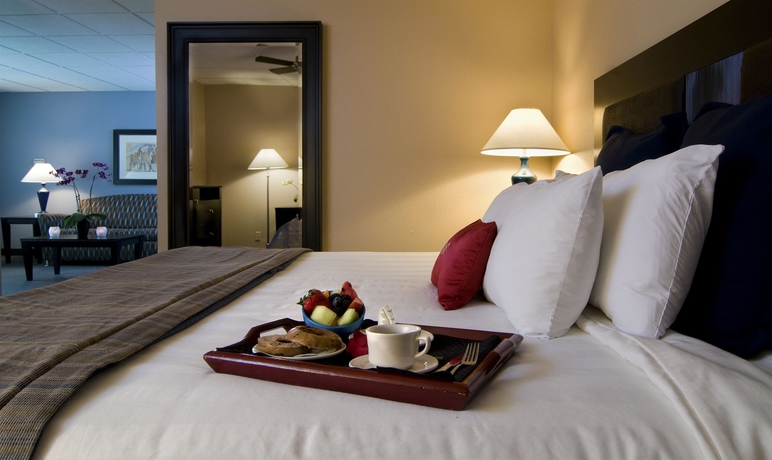 Imagen de la habitación del Hotel Crowne Plaza San Antonio Airport, An Ihg. Foto 4