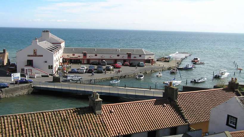 Imagen general del Hotel Crusoe. Foto 4