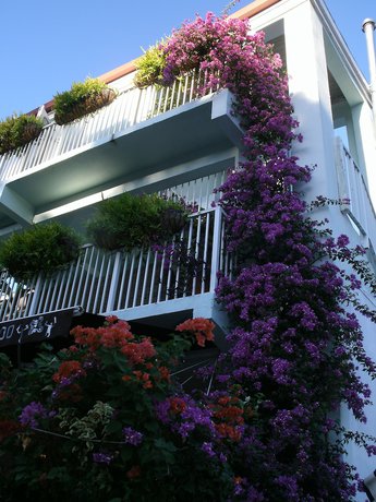 Imagen general del Hotel Cruz Bay Boutique. Foto 2