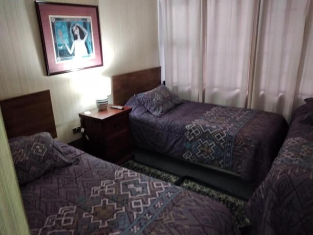 Imagen de la habitación del Hotel Cruz Del Sur, CONCEPCION. Foto 12