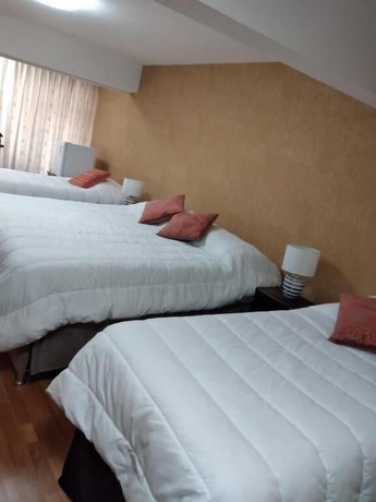 Imagen de la habitación del Hotel Cruz Del Sur, CONCEPCION. Foto 15