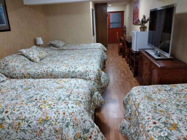 Imagen de la habitación del Hotel Cruz Del Sur, CONCEPCION. Foto 17