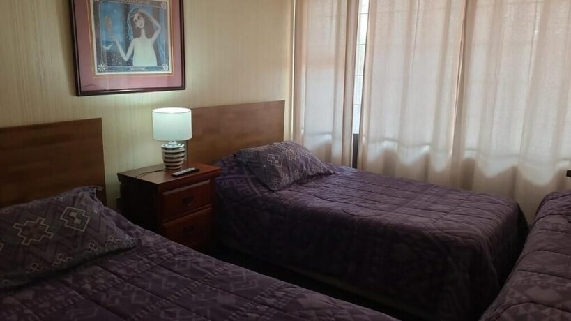 Imagen general del Hotel Cruz Del Sur, CONCEPCION. Foto 9