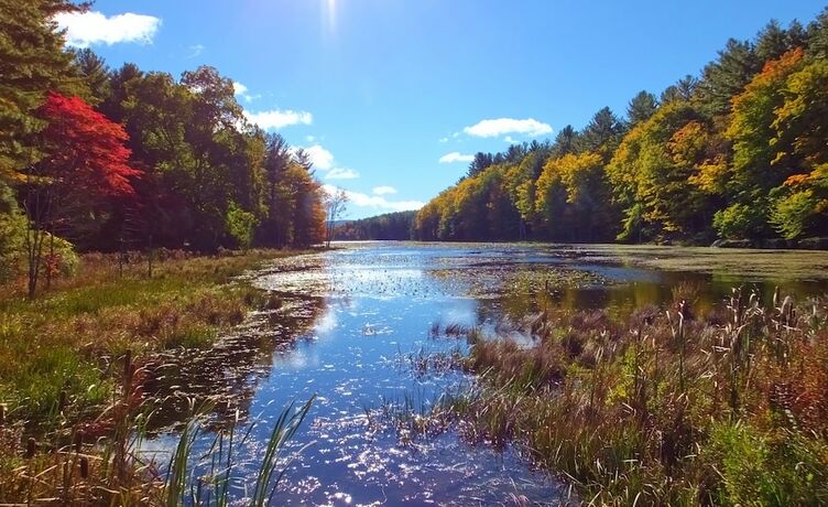 Imagen general del Hotel Crystal Brook Resort and Mountain Brauhaus. Foto 14