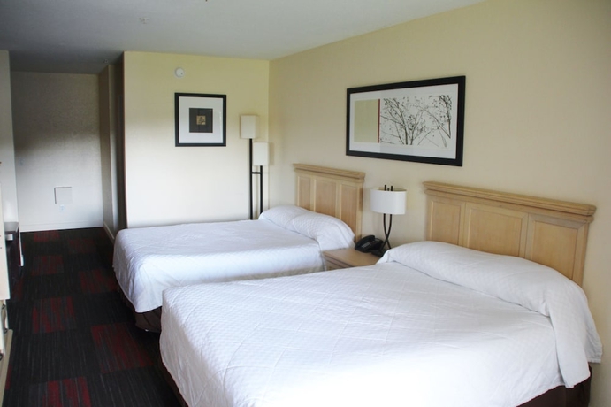 Imagen de la habitación del Hotel Crystal Cove. Foto 6