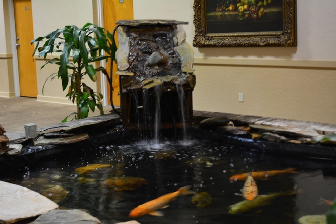 Imagen de los interiores del Hotel Crystal Cove. Foto 19