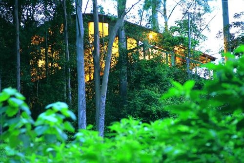 Imagen general del Hotel Crystal Creek Rainforest Retreat. Foto 2