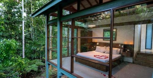Imagen general del Hotel Crystal Creek Rainforest Retreat. Foto 3