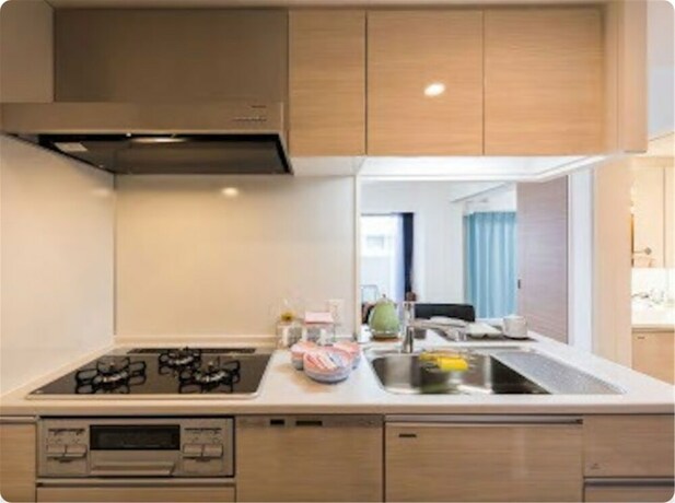 Imagen de la habitación del Hotel Crystal Exe Nipponbashi. Foto 30