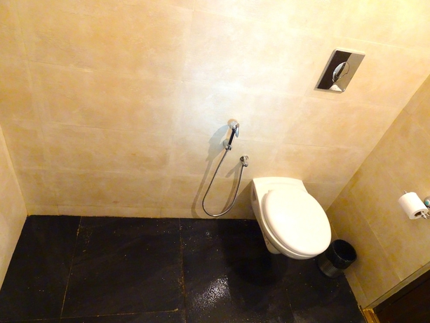 Imagen de la habitación del Hotel Crystal Goa. Foto 16