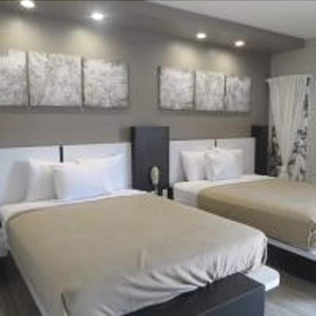 Imagen de la habitación del Hotel Crystal Inn. Foto 13