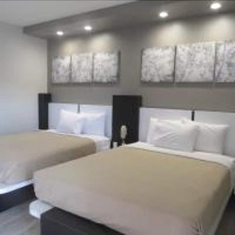 Imagen de la habitación del Hotel Crystal Inn. Foto 18