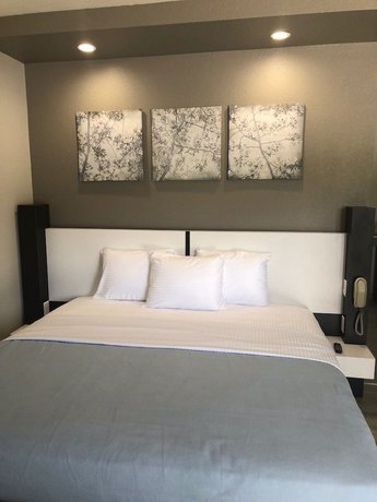 Imagen de la habitación del Hotel Crystal Inn. Foto 20