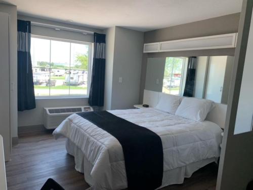 Imagen general del Hotel Crystal Inn. Foto 3