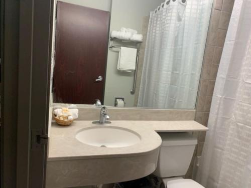 Imagen de la habitación del Hotel Crystal Inn. Foto 19