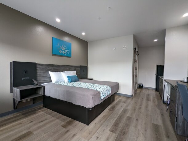 Imagen de la habitación del Hotel Crystal Inn Jacinto City. Foto 7