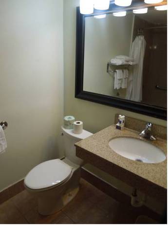 Imagen de la habitación del Hotel Crystal Inn Neptune. Foto 11