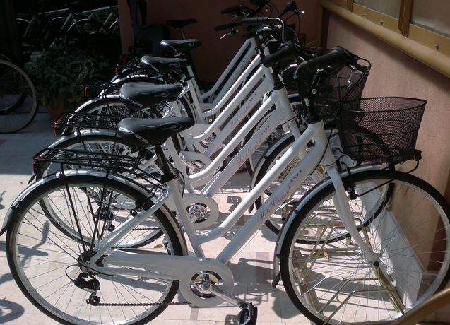 Imagen general del Hotel Crystal, Preganziol. Foto 2