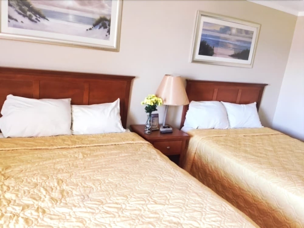 Imagen de la habitación del Hotel Crystal Winds. Foto 5