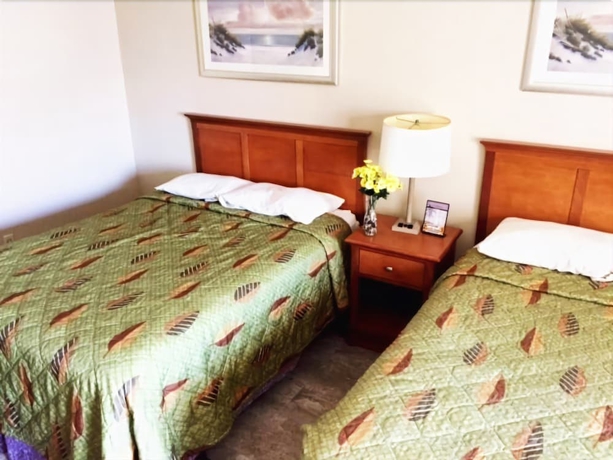 Imagen de la habitación del Hotel Crystal Winds. Foto 6